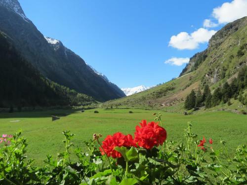 Apartamento Haus Frank Pitztal