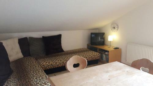 Apartamento Haus Frank Pitztal