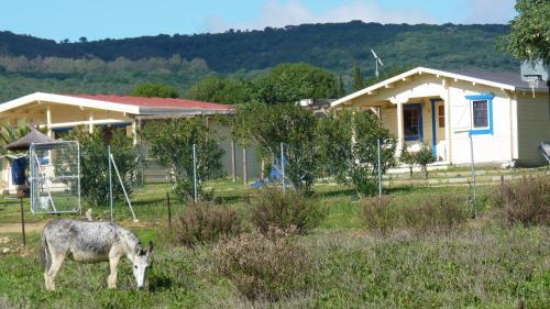 Apartamento Maryvacas