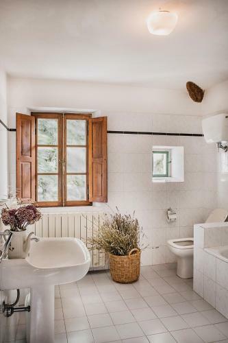 Agroturismo Il Boschetto