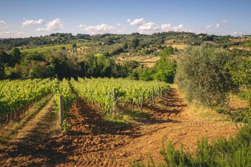 Agroturismo Il Boschetto