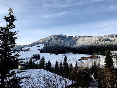Apartamento Haus Inneralpbach