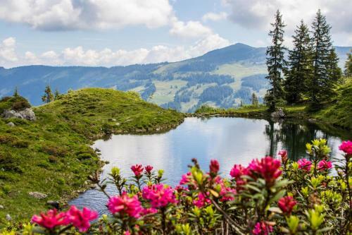 Apartamento Appartementhaus Hubert