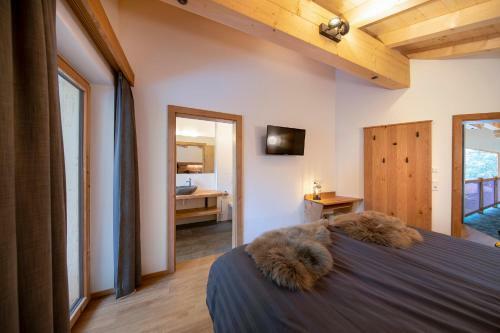 Chalet Zillertal Arena