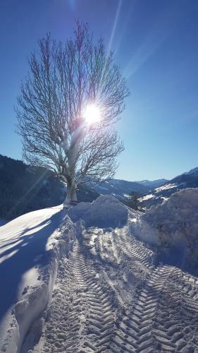 Hostal Gasthof Sch�ntal