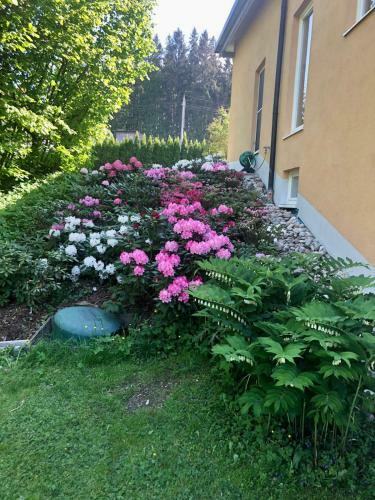 Apartamento Am Wildbach Bei Passau