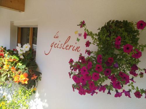 Hostal G�stehaus Die Geislerin