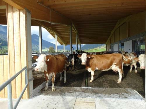 Hostal Pension Schusterhof