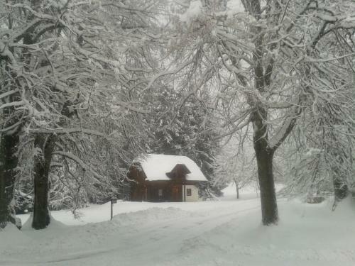 Chalet Zur Schmiede