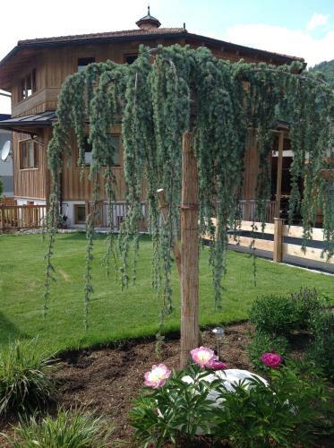 Ferienhaus Oktogon