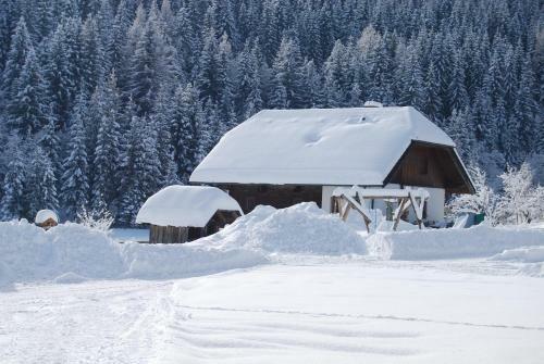 Ferienhaus Gobald
