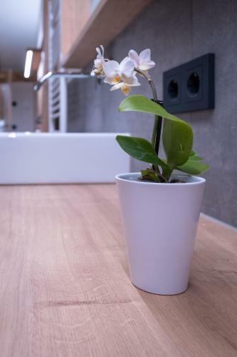 Apartment Haus Sch�nwies