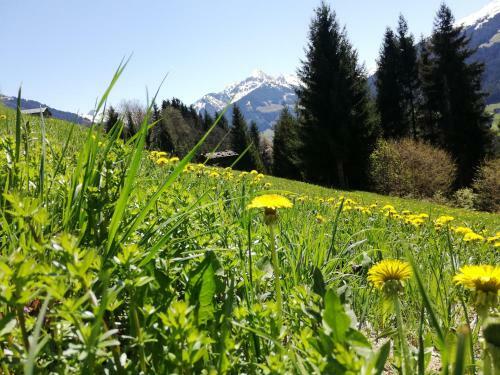 Apartamento Appartement Moaeben