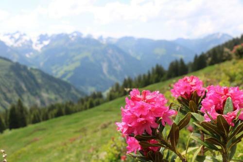Apartamento Bauernhof Farnach