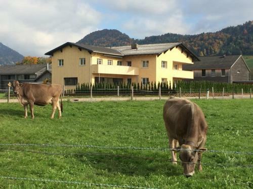 Apartamento Ferienwohnung Thannen