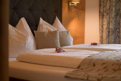 Hostal Villa Alpin
