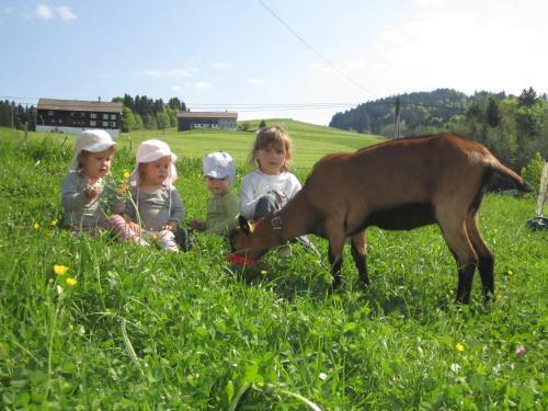 Agroturismo Bauernhof Bilgeri