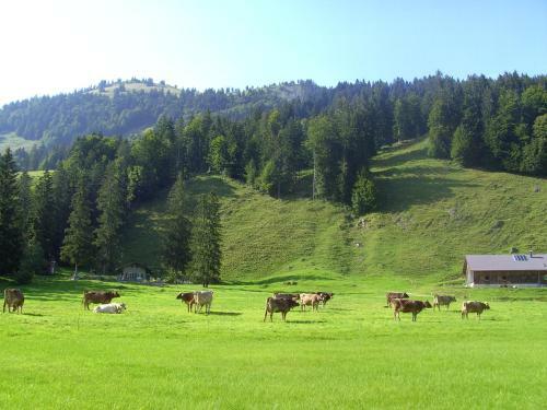 Hostal G�stehaus Lutz