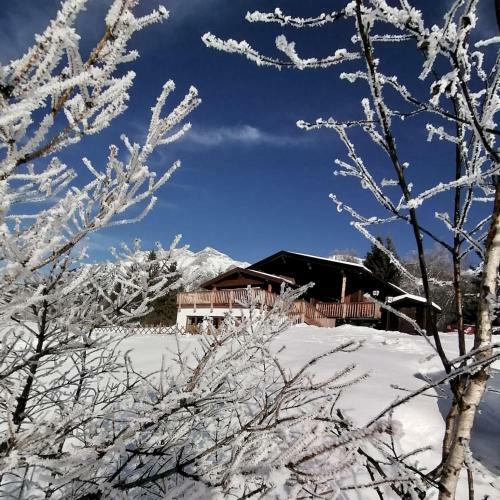 Apartment Silberwald