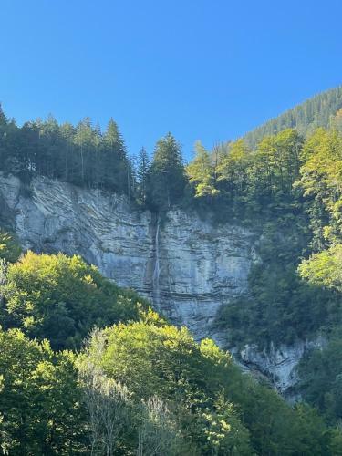 Wasserfall Apartments Mellau