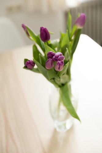 Apartamento Am Mellenbach