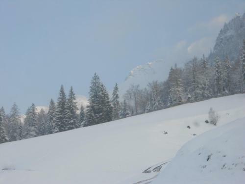 Bed & Breakfast Haus Panorama