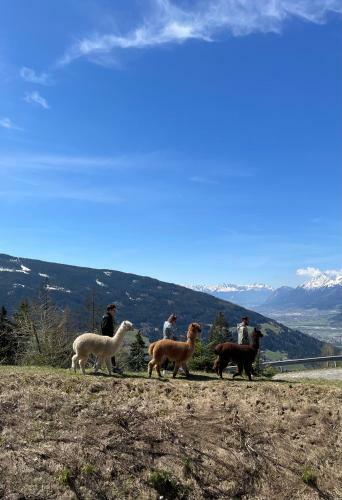 Lodge Bergh�tte Jenewein