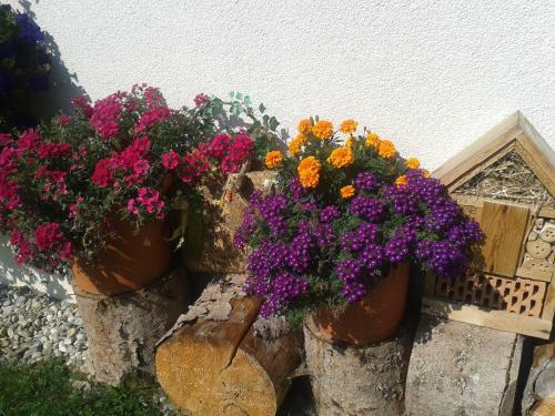 Apartamento G�stehaus Nemast