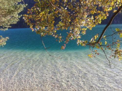 Apartamento G�stehaus Nemast