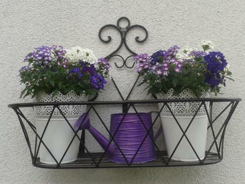 Apartamento G�stehaus Nemast