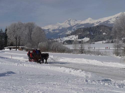 Hostal Pension Haus Edelweiss