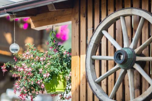 Apartamento Ferienwohnungen Haus Mooswinkel