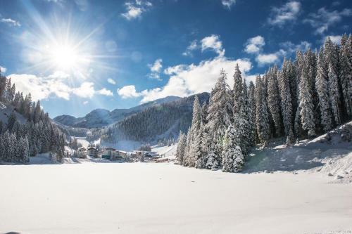 Hotel Firstpeak Zauchensee