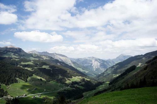 Berg Aparts Faschina