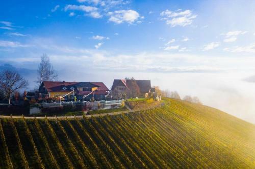 Posada Weingut Essgut Schlafgut Sabathihof-dillinger