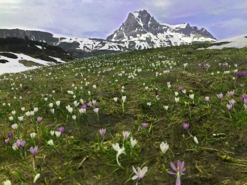 Aparthotel Berghaus Schr�cken