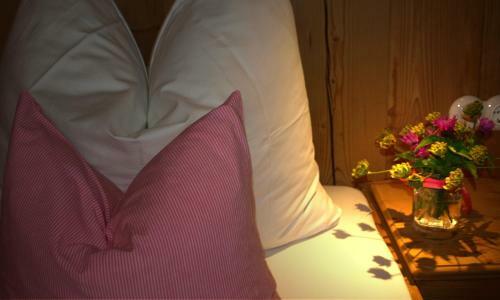 Aparthotel Berghaus Schr�cken