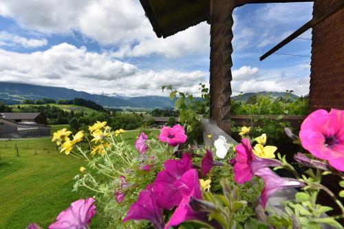 Apartamento Ferien In Feld 109
