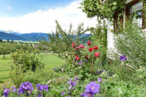 Apartamento Ferien In Feld 109