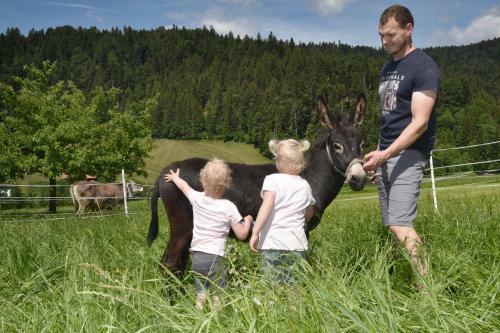 Apartamento Wiesenhof Rusch