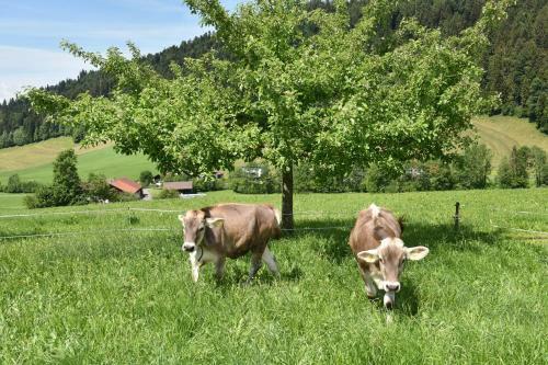 Apartamento Wiesenhof Rusch