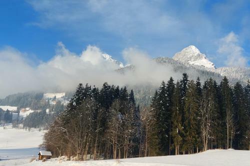 Apartamento Urlaub Mit Aussicht