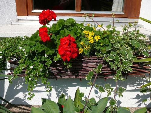 Apartamento Ferienwohnung Amann