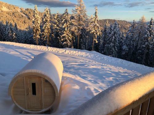 Apartamento Almchalet H�ttenzauber