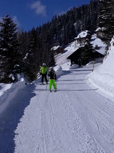 Apartamento Ferienhaus Bergfee