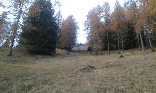 Apartamento Unterniggleralm