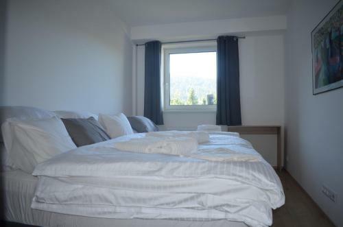 Apartamento Visit Klinovec