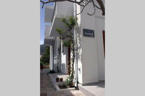 Apartamento Seashell Apt 1