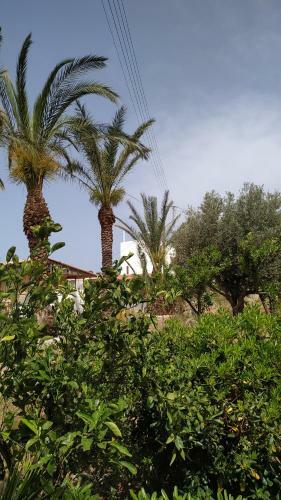 Bed & Breakfast Stalis Drops