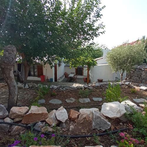 Linos Traditional Cottage